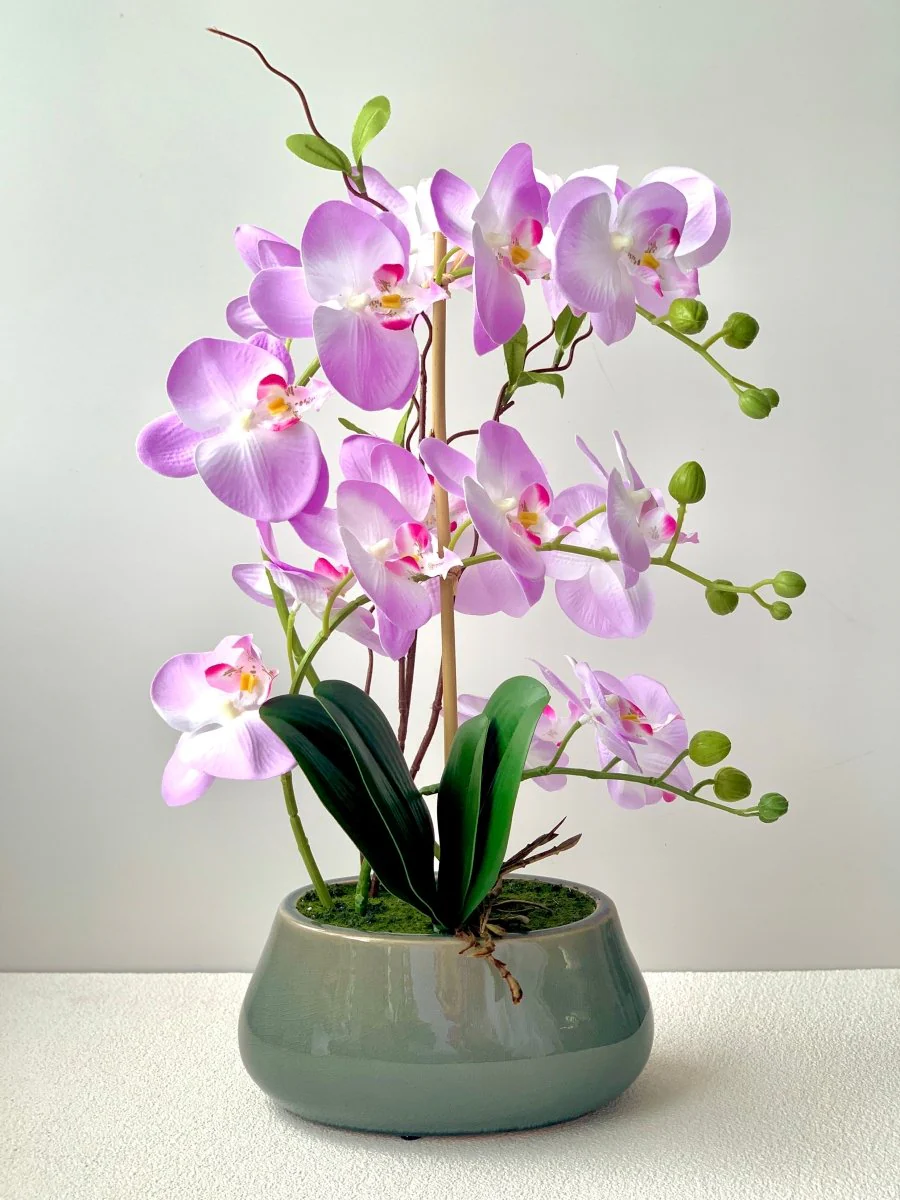 Abundance Royal Phalaenopsis - (Life-like Artificial) - Image 10