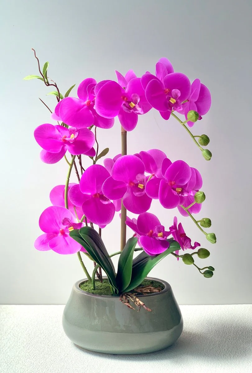 Abundance Royal Phalaenopsis - (Life-like Artificial) - Image 11