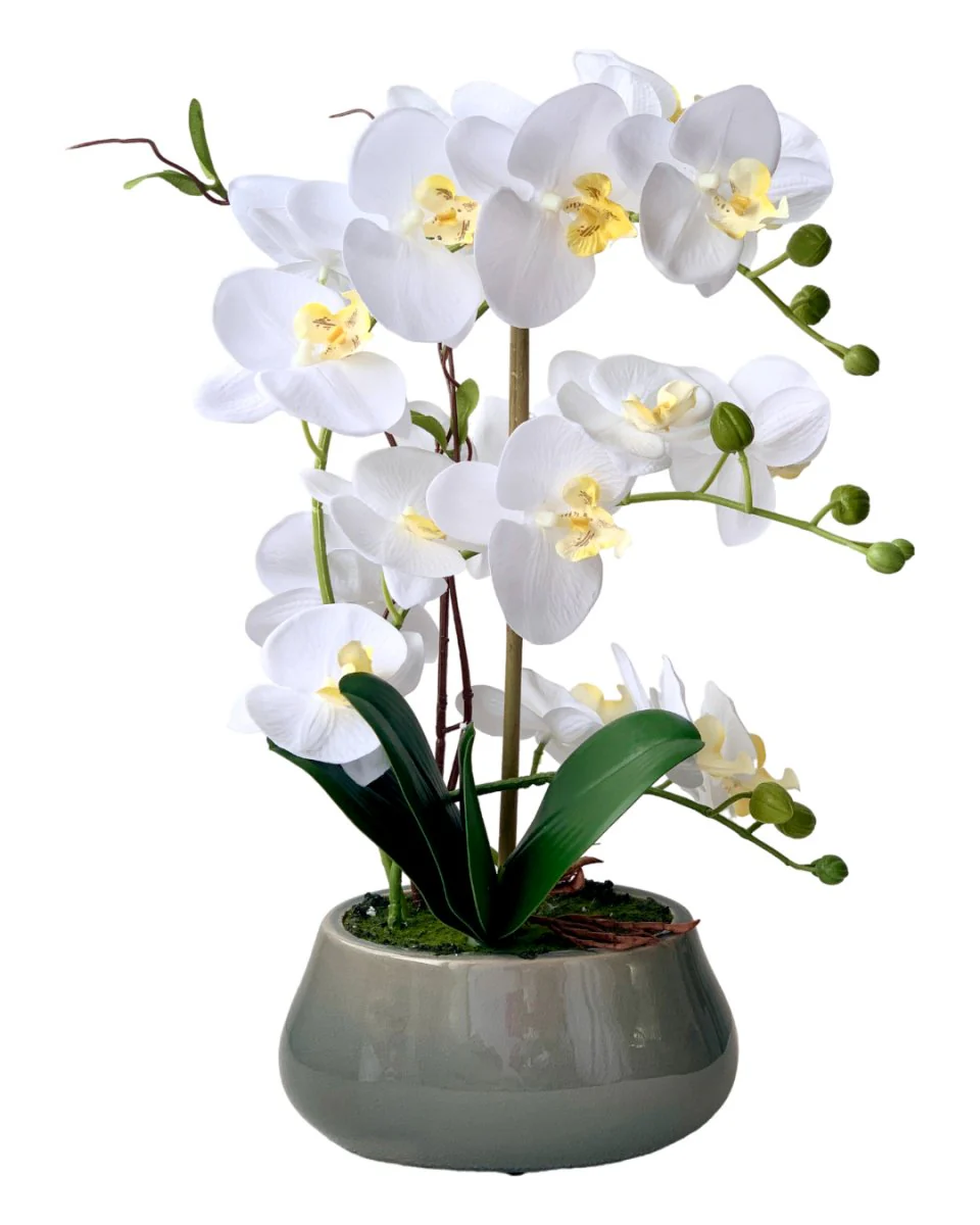 Abundance Royal Phalaenopsis - (Life-like Artificial) - Image 5
