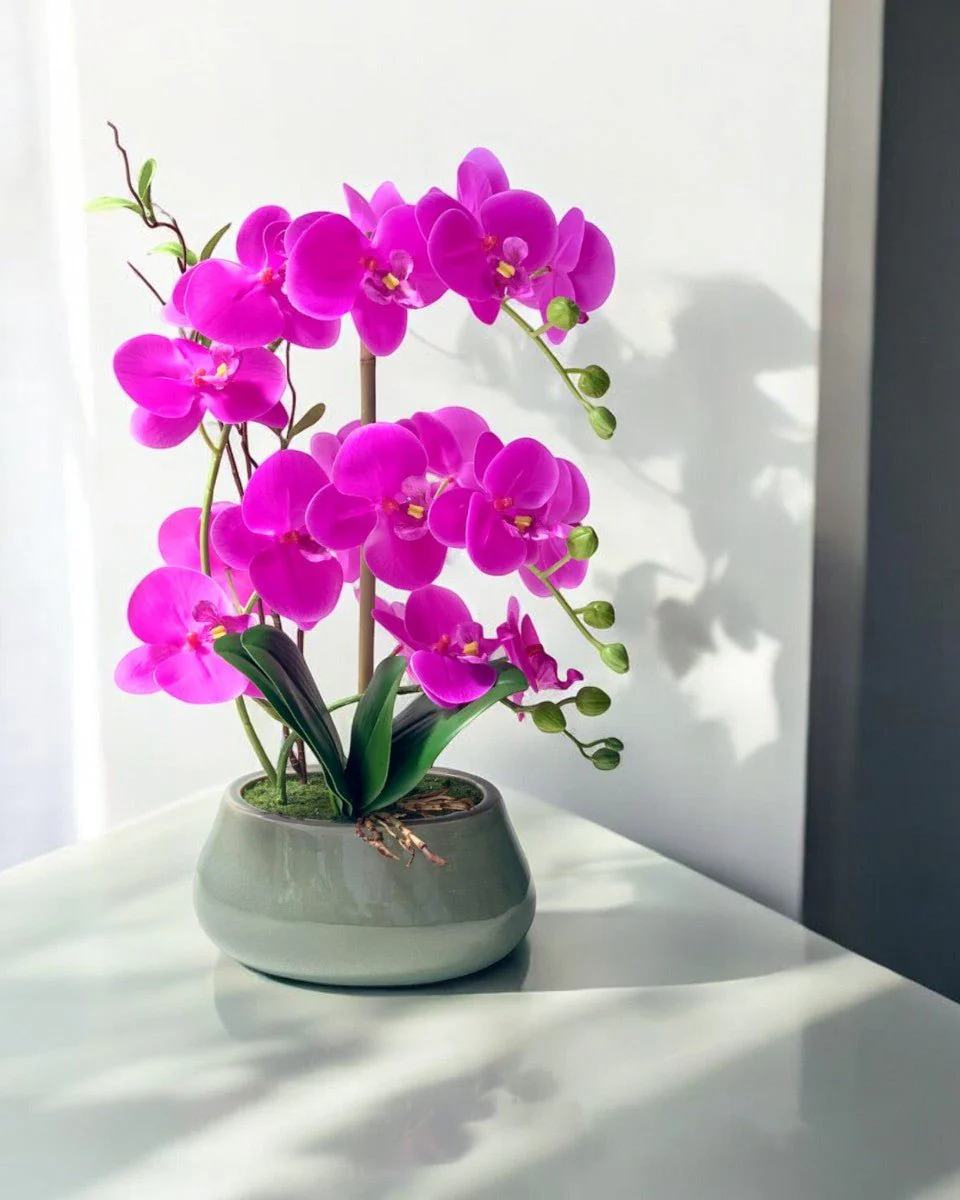 Abundance Royal Phalaenopsis - (Life-like Artificial) - Image 6