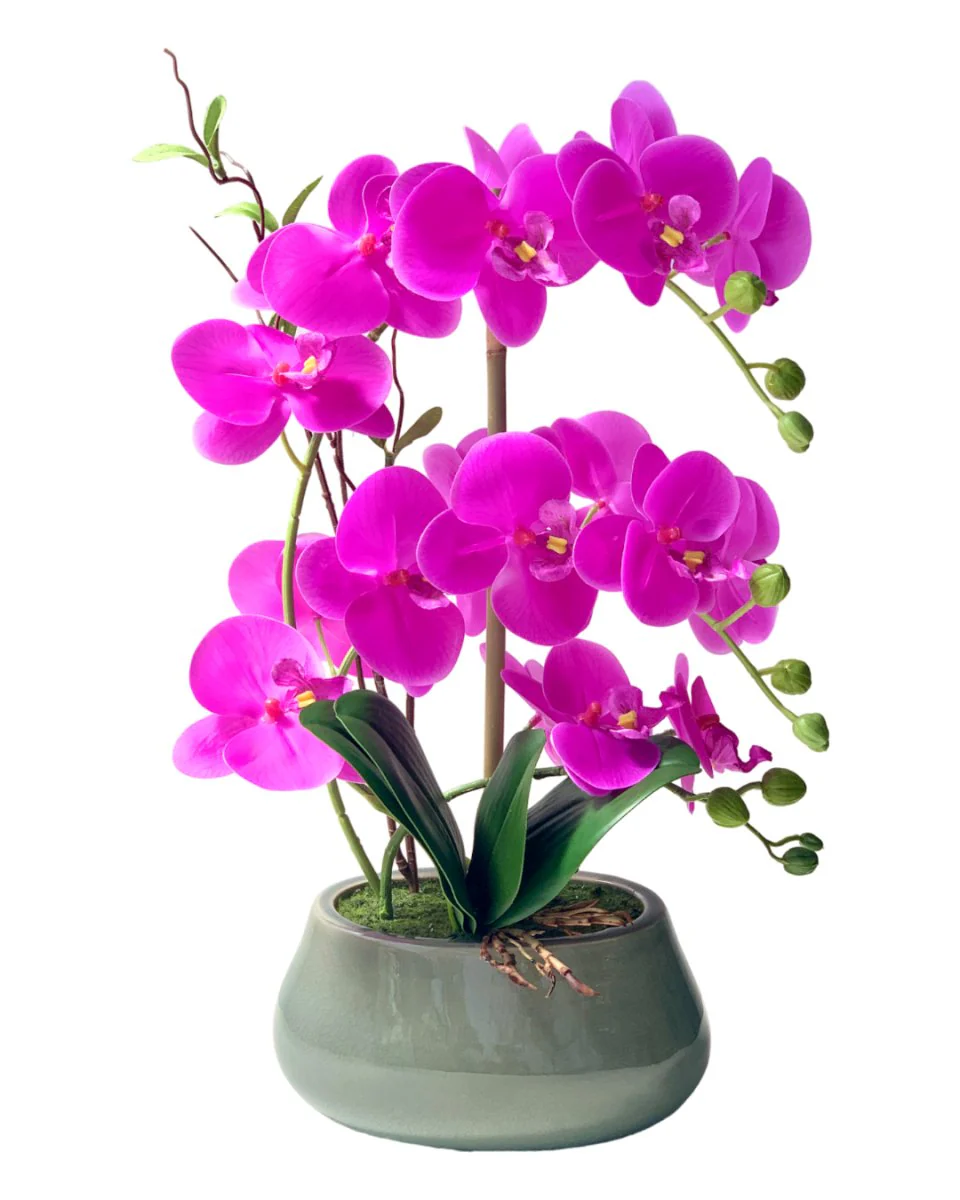 Abundance Royal Phalaenopsis - (Life-like Artificial) - Image 7