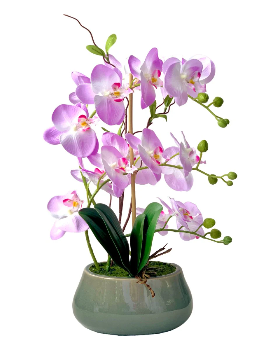 Abundance Royal Phalaenopsis - (Life-like Artificial) - Image 8