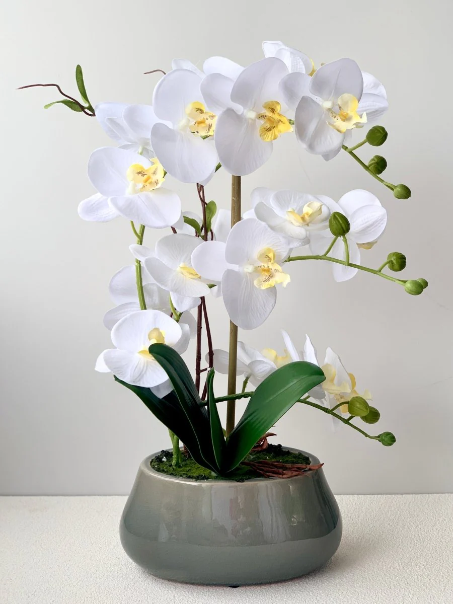 Abundance Royal Phalaenopsis - (Life-like Artificial) - Image 9