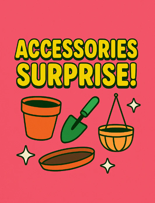 Accessories/Pots Surprise!