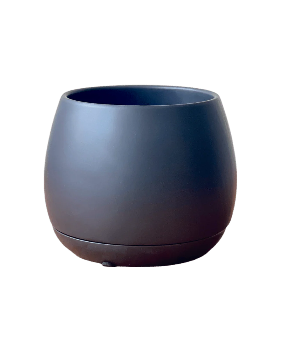 Addie Planter - Image 4