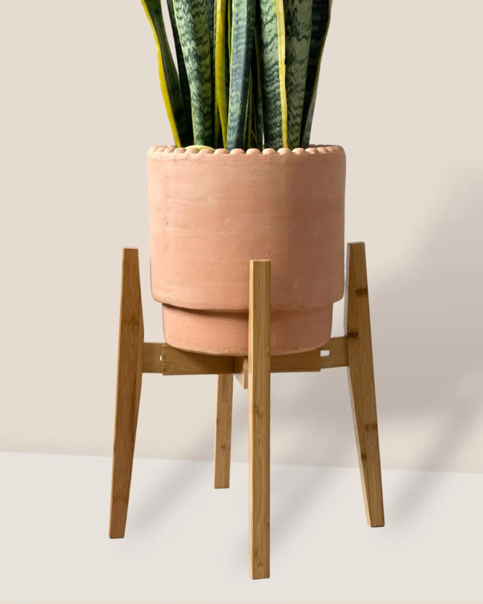 Adjustable Wood Stand - Image 11