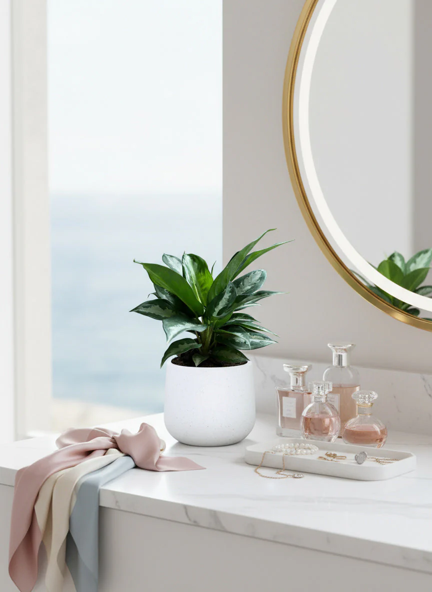 Aglaonema Pattaya Diamond Baby - Image 5