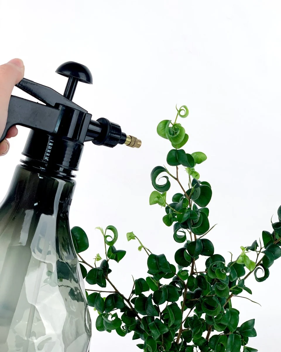 Aiah Pump Spray - Image 5