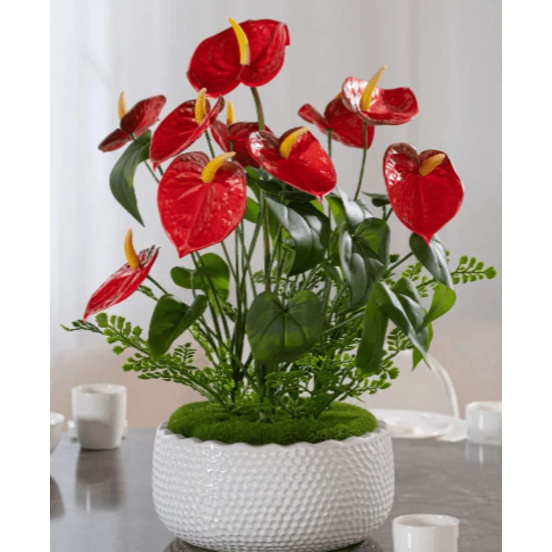 Anthurium Arrangement (Life-like Artificial) - Image 5