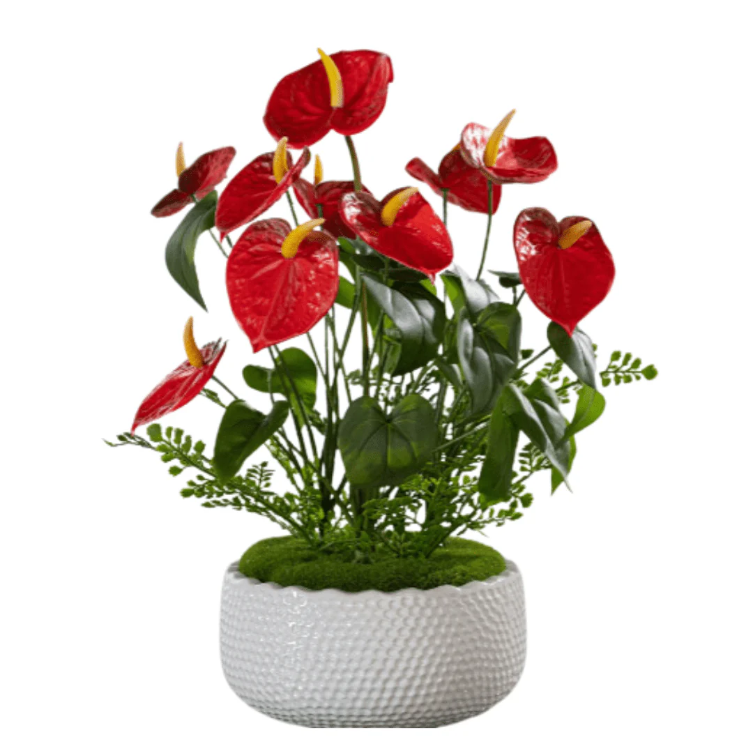 Anthurium Arrangement (Life-like Artificial) - Image 6