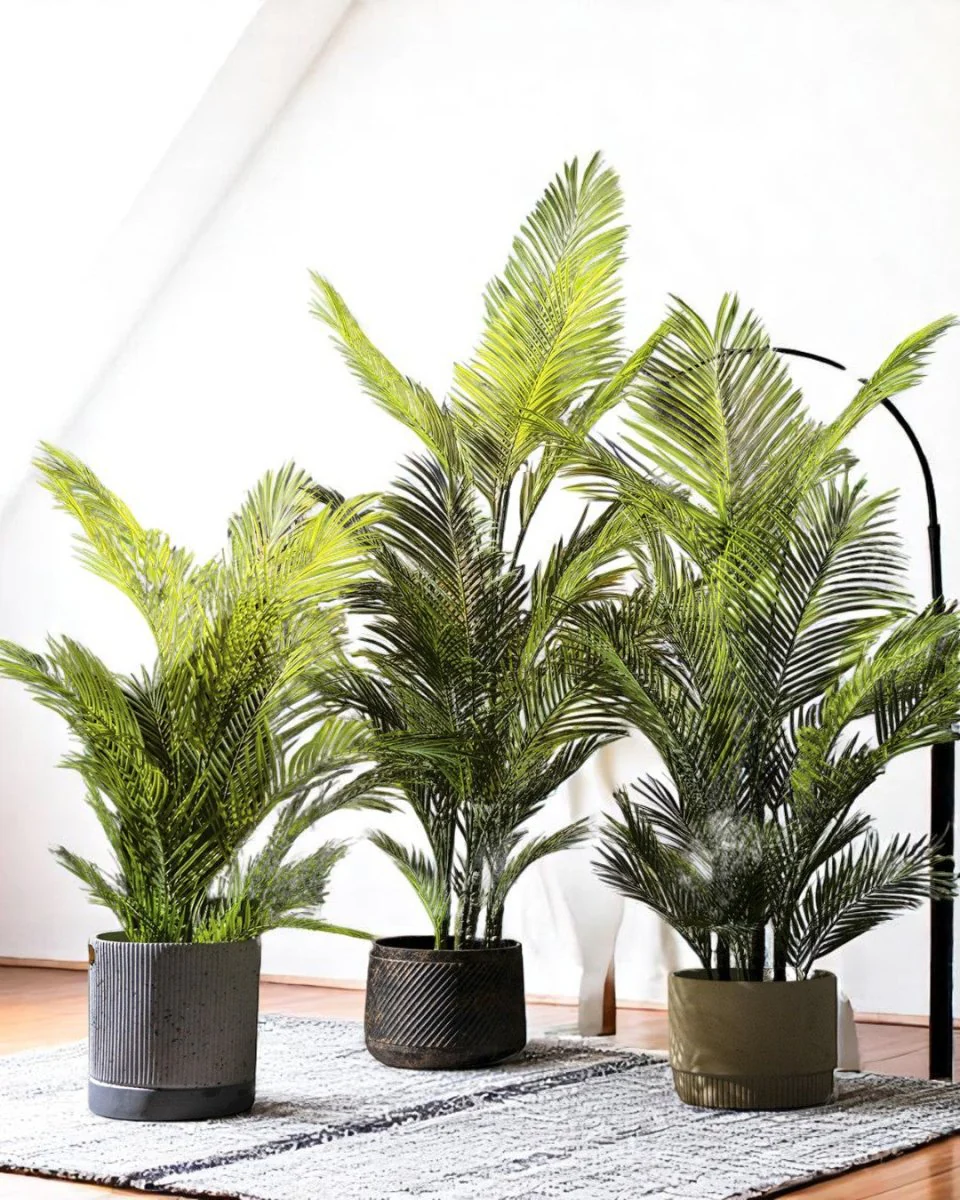 Areca Palm (Life-like Artificial) - Image 15