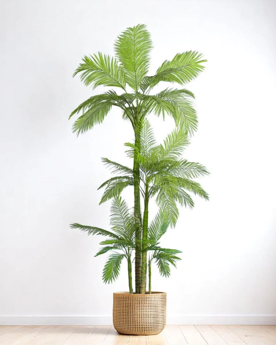 Areca Palm (Life-like Artificial) - Image 16