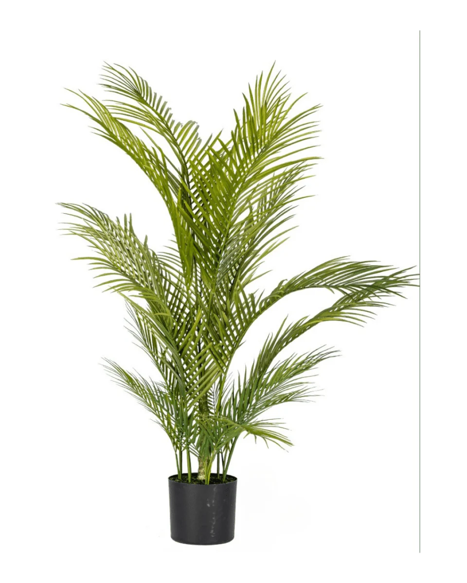 Areca Palm (Life-like Artificial) - Image 19