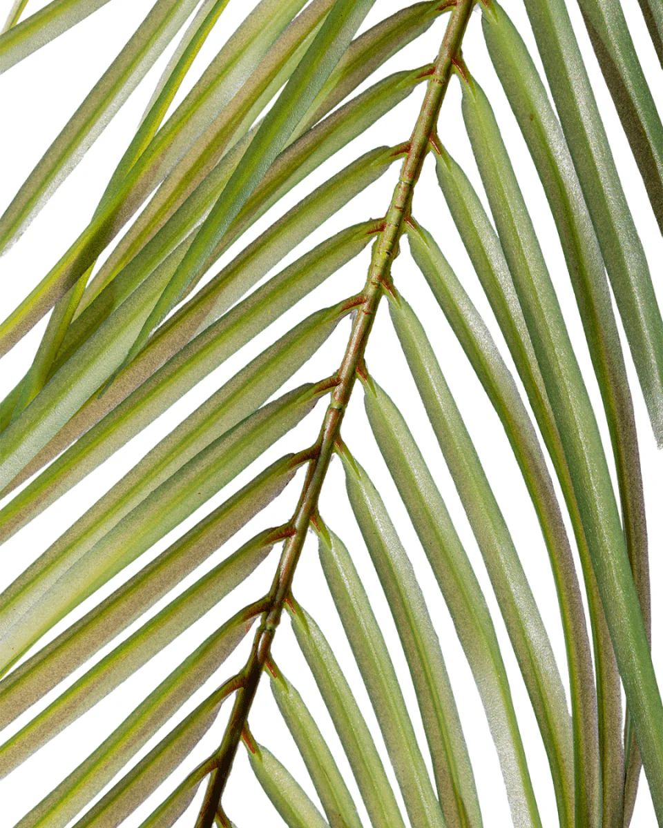 Areca Palm (Life-like Artificial) - Image 2