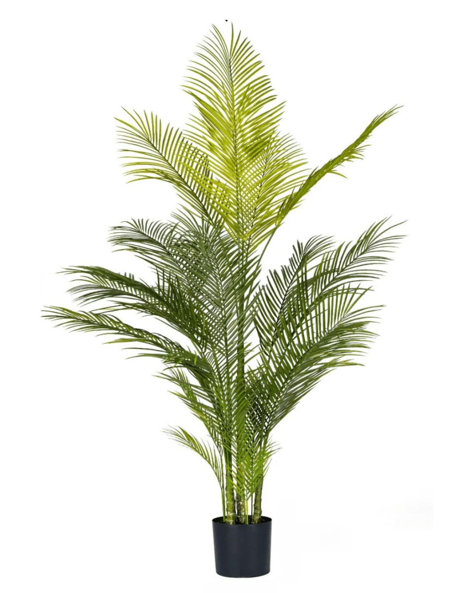 Areca Palm (Life-like Artificial) - Image 20
