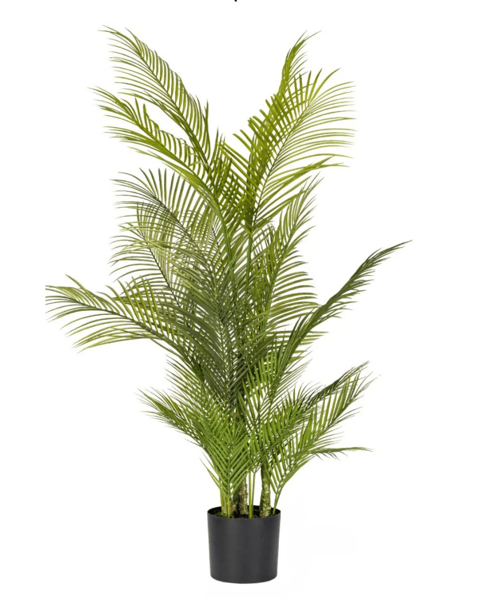 Areca Palm (Life-like Artificial) - Image 21