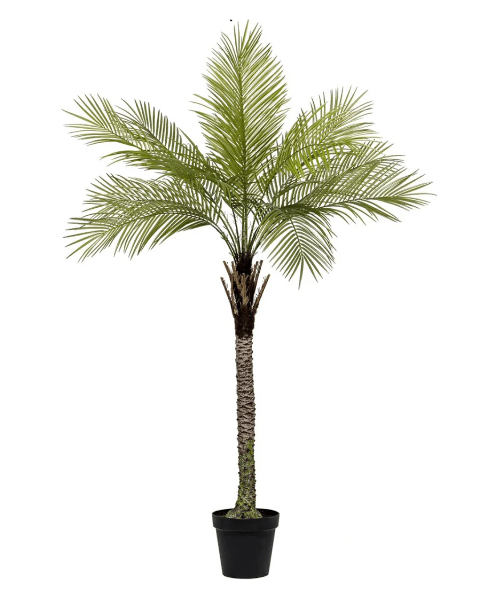 Areca Palm (Life-like Artificial) - Image 22