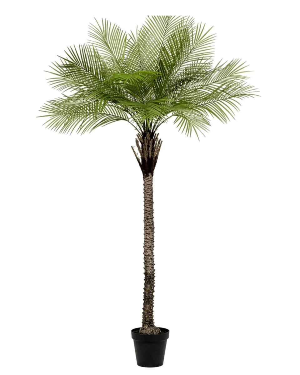 Areca Palm (Life-like Artificial) - Image 23
