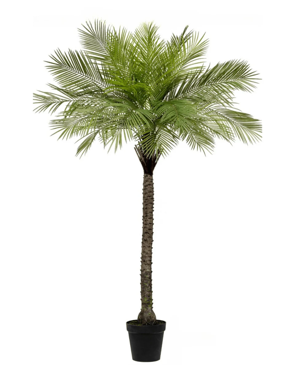 Areca Palm (Life-like Artificial) - Image 24