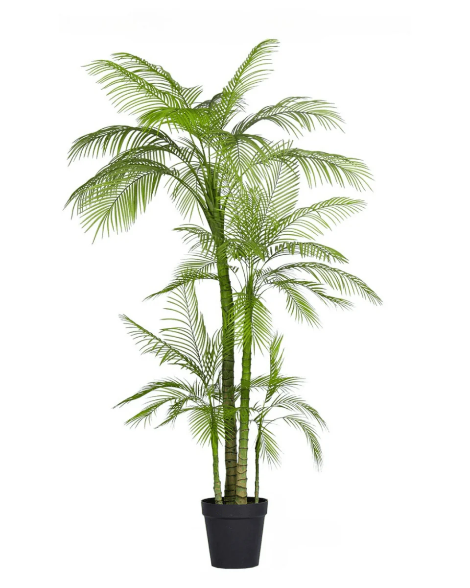 Areca Palm (Life-like Artificial) - Image 26