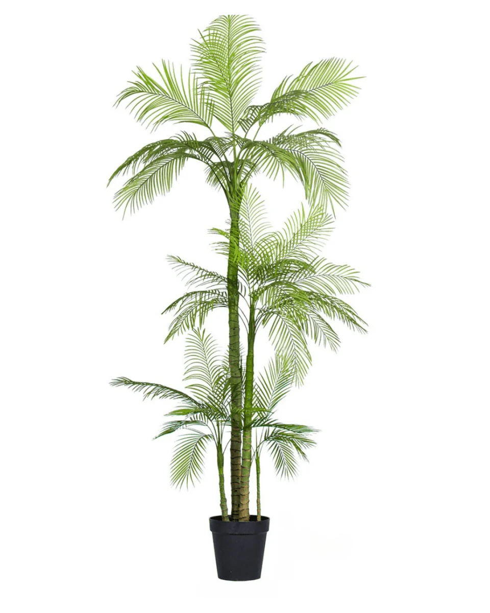 Areca Palm (Life-like Artificial) - Image 27