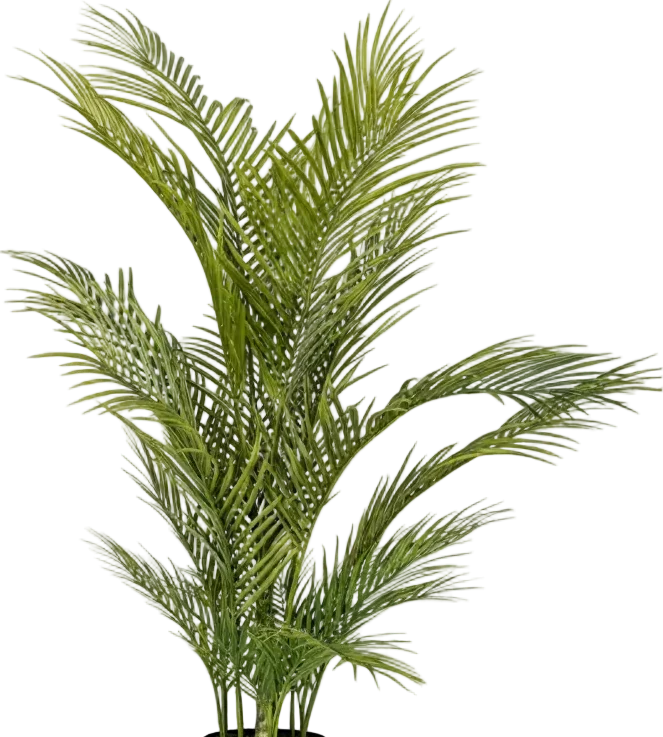 Areca Palm (Life-like Artificial) - Image 28