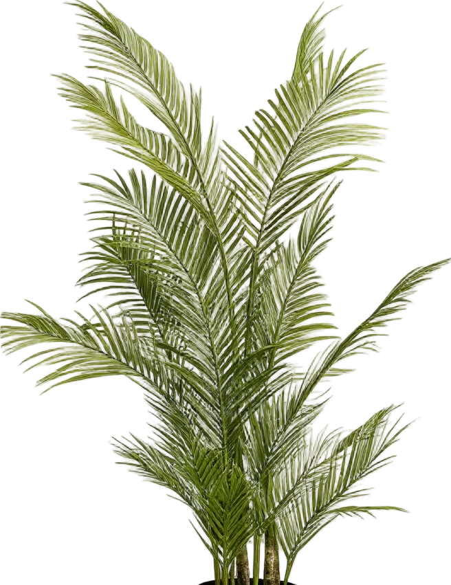 Areca Palm (Life-like Artificial) - Image 29