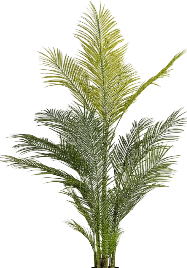 Areca Palm (Life-like Artificial) - Image 30