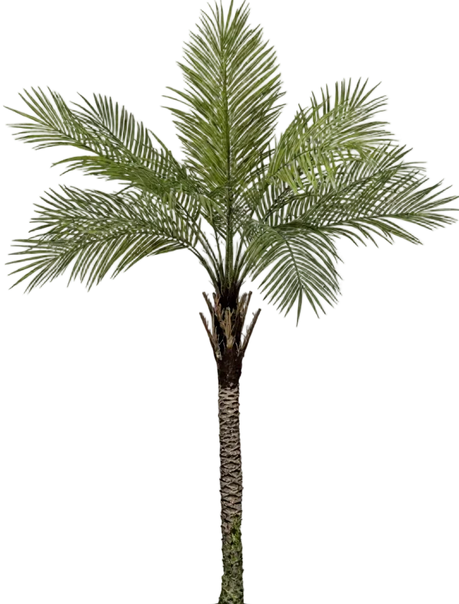 Areca Palm (Life-like Artificial) - Image 31