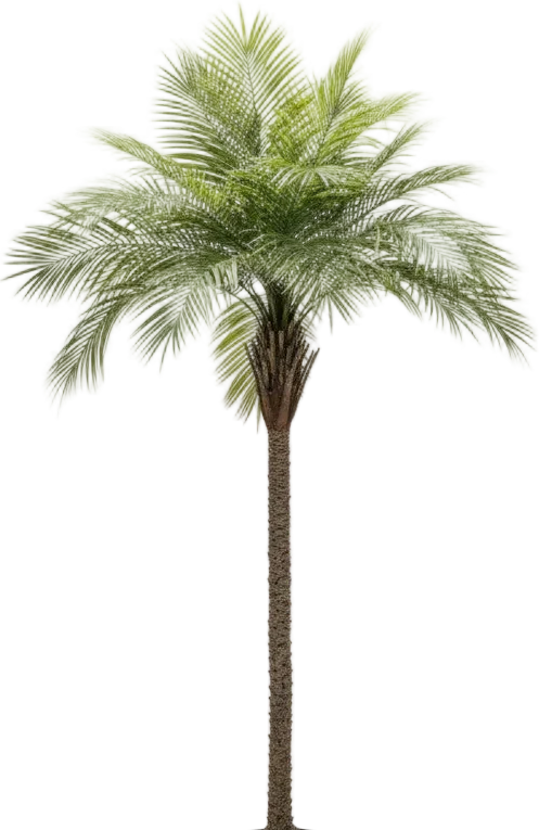 Areca Palm (Life-like Artificial) - Image 32