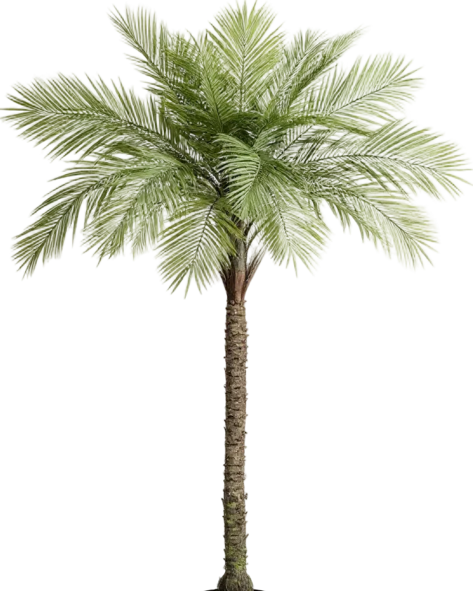 Areca Palm (Life-like Artificial) - Image 33