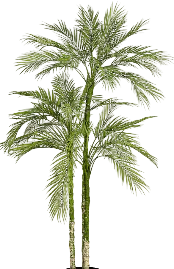 Areca Palm (Life-like Artificial) - Image 34