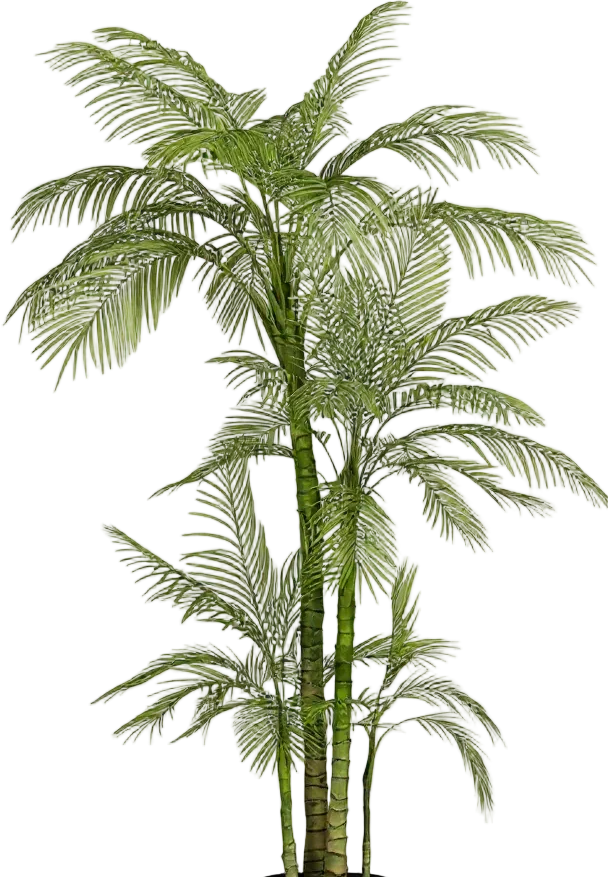 Areca Palm (Life-like Artificial) - Image 35
