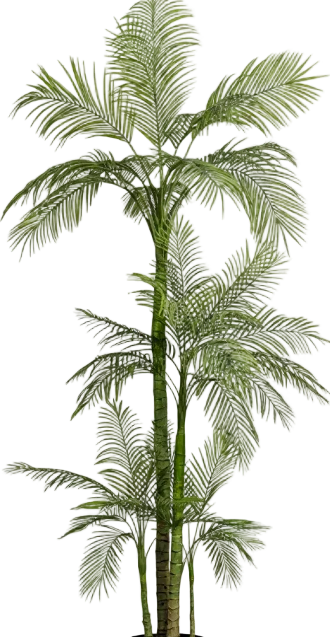 Areca Palm (Life-like Artificial) - Image 36
