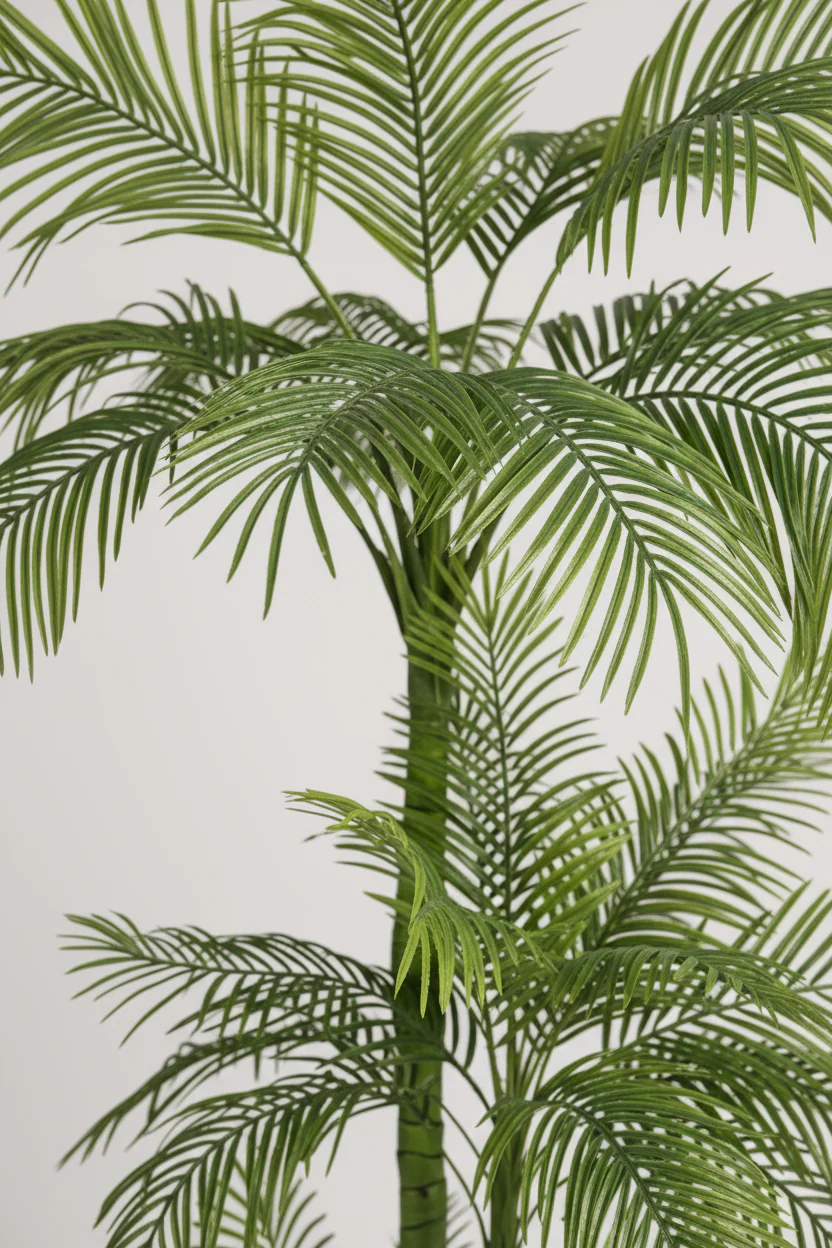 Areca Palm (Life-like Artificial) - Image 4