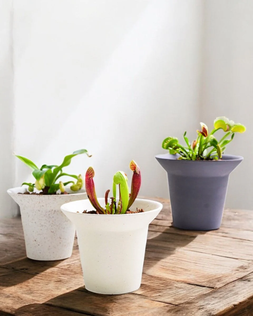 Aria Pots - Image 2