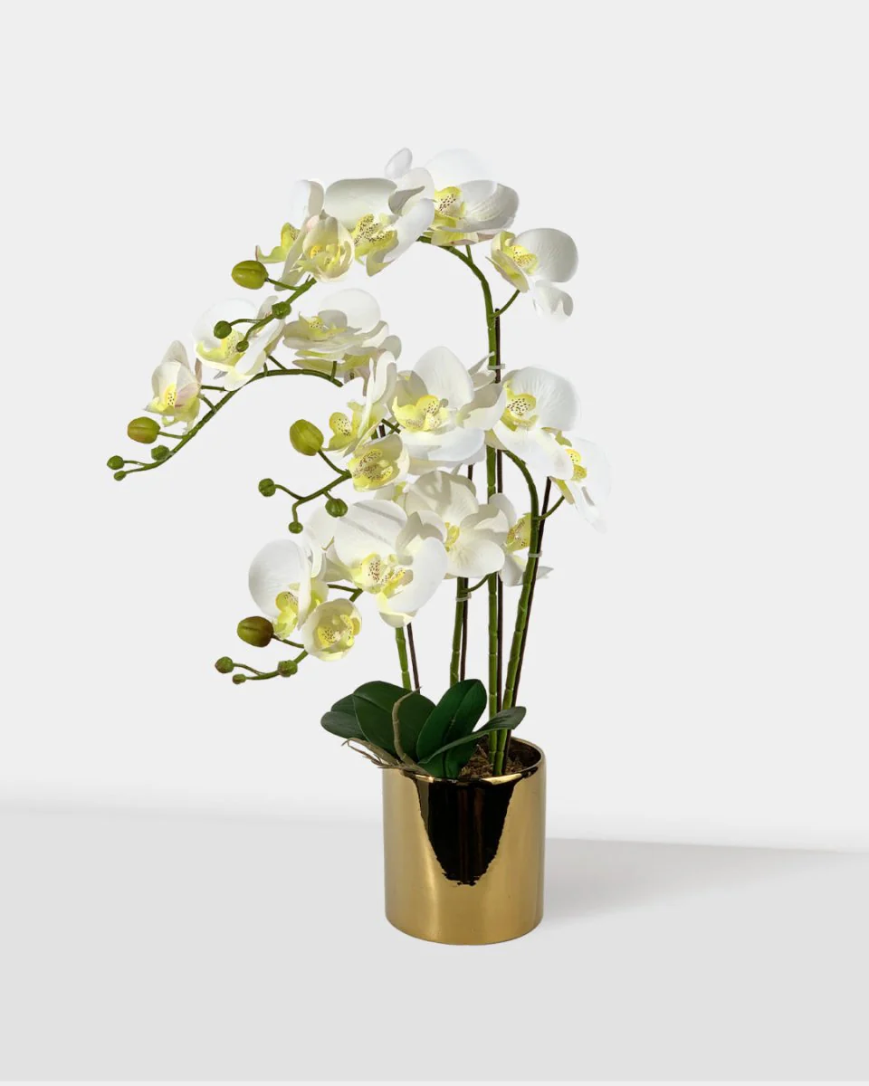 Artificial Crown Phalaenopsis (Life-like Artificial) - Image 3