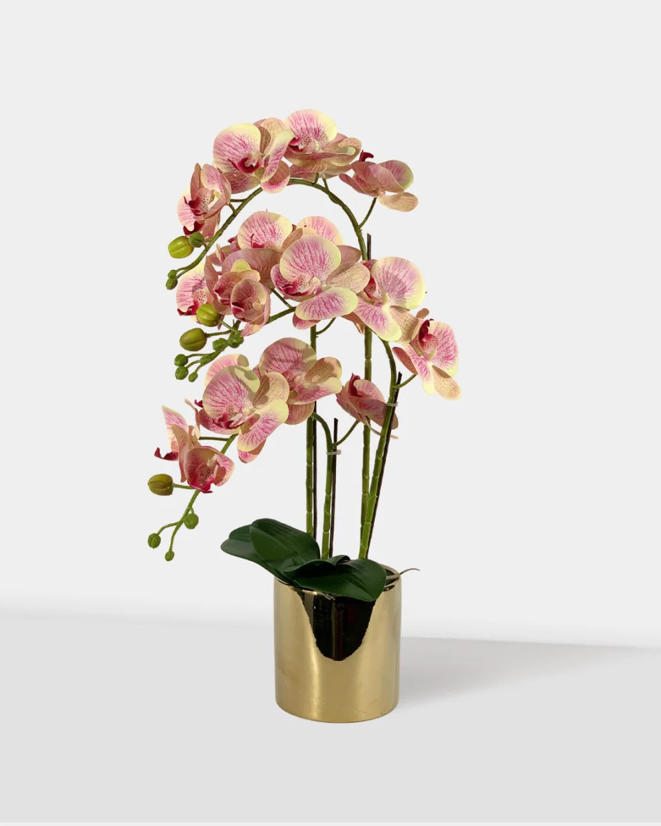Artificial Crown Phalaenopsis (Life-like Artificial) - Image 4