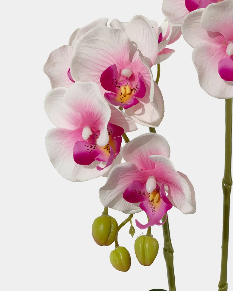 Artificial Crown Phalaenopsis (Life-like Artificial) - Image 5