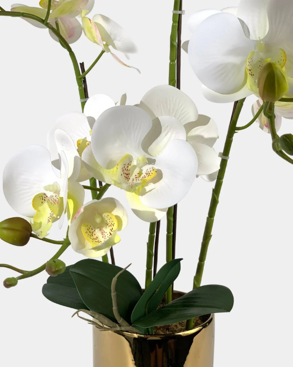 Artificial Crown Phalaenopsis (Life-like Artificial) - Image 6