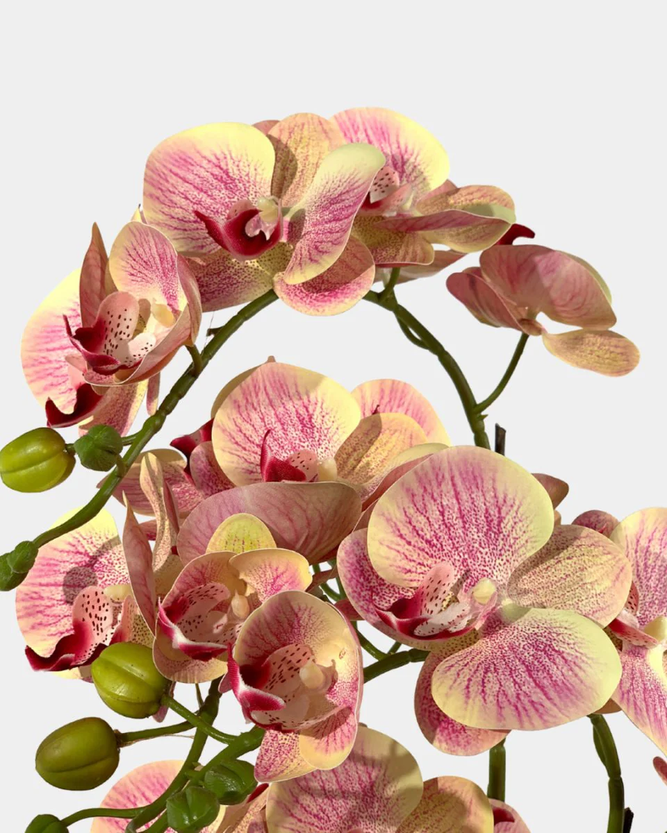 Artificial Crown Phalaenopsis (Life-like Artificial) - Image 7
