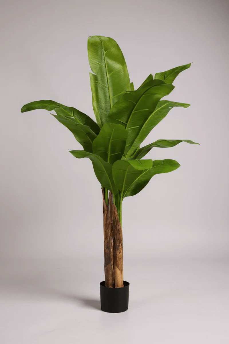 Banana Tree (Life-life Artificial) - Image 13