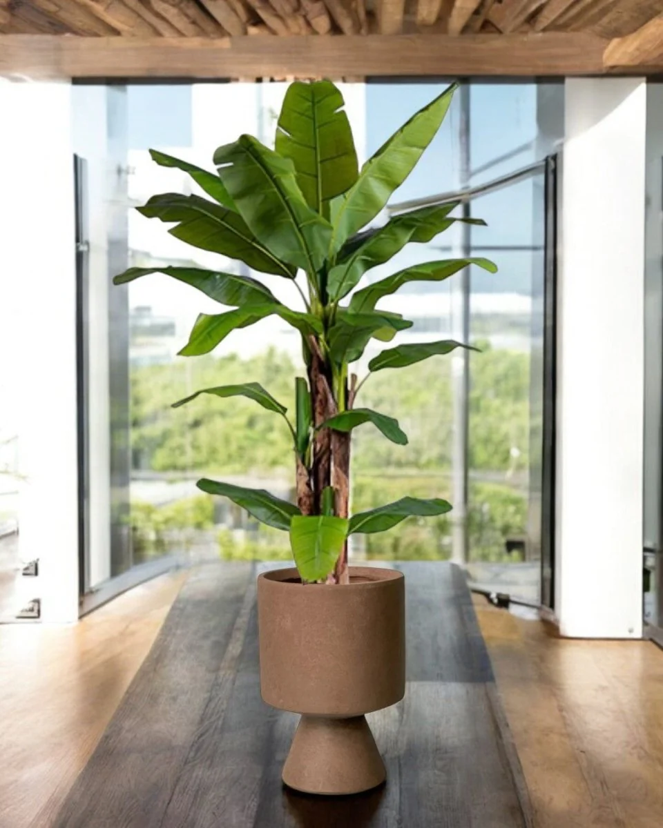 Banana Tree (Life-life Artificial) - Image 17