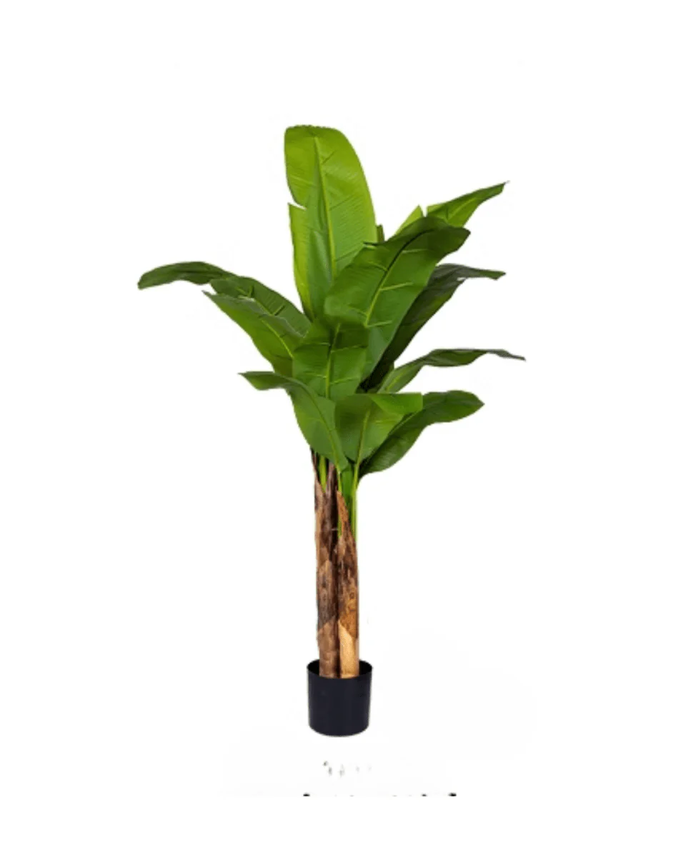 Banana Tree (Life-life Artificial) - Image 18