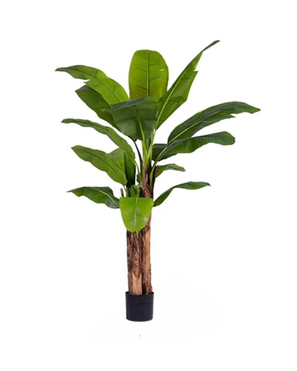 Banana Tree (Life-life Artificial) - Image 19