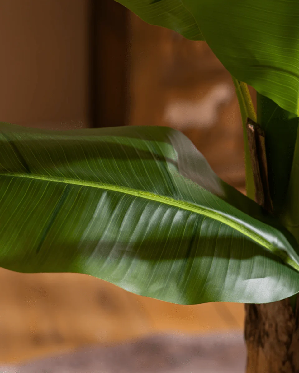 Banana Tree (Life-life Artificial) - Image 2