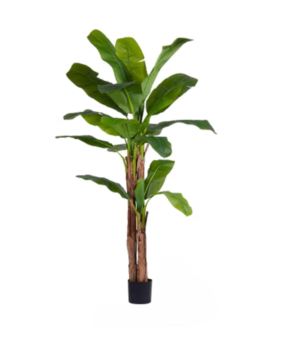 Banana Tree (Life-life Artificial) - Image 20