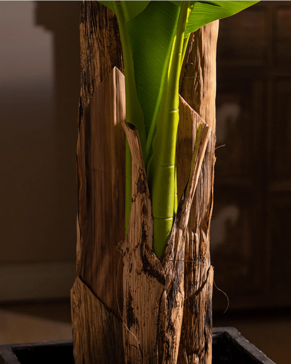 Banana Tree (Life-life Artificial) - Image 3