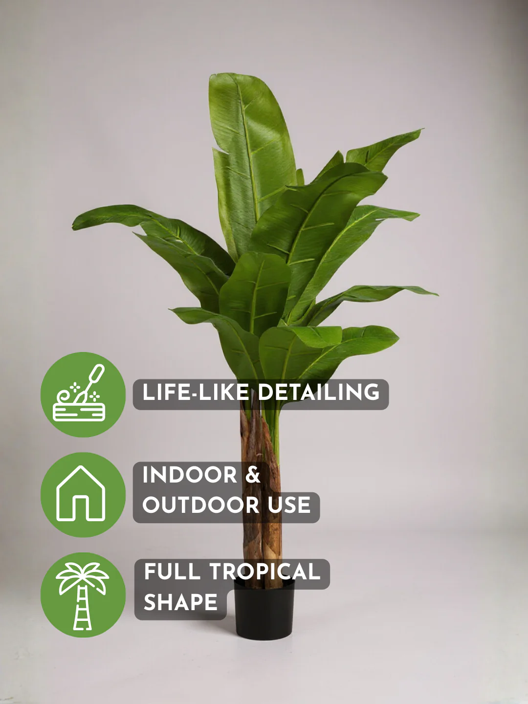 Banana Tree (Life-life Artificial) - Image 7