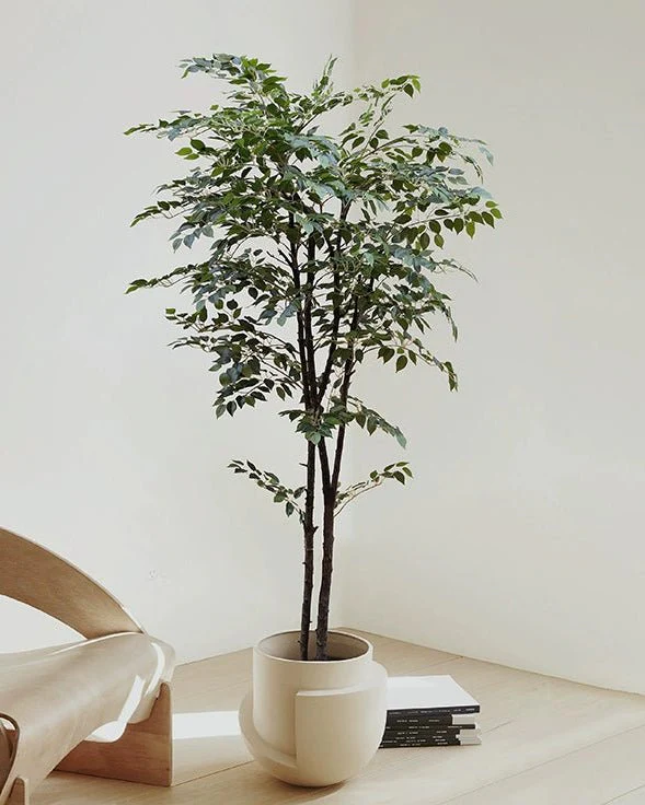 Banyan Tree - Real-Trunk Artificial - Image 12